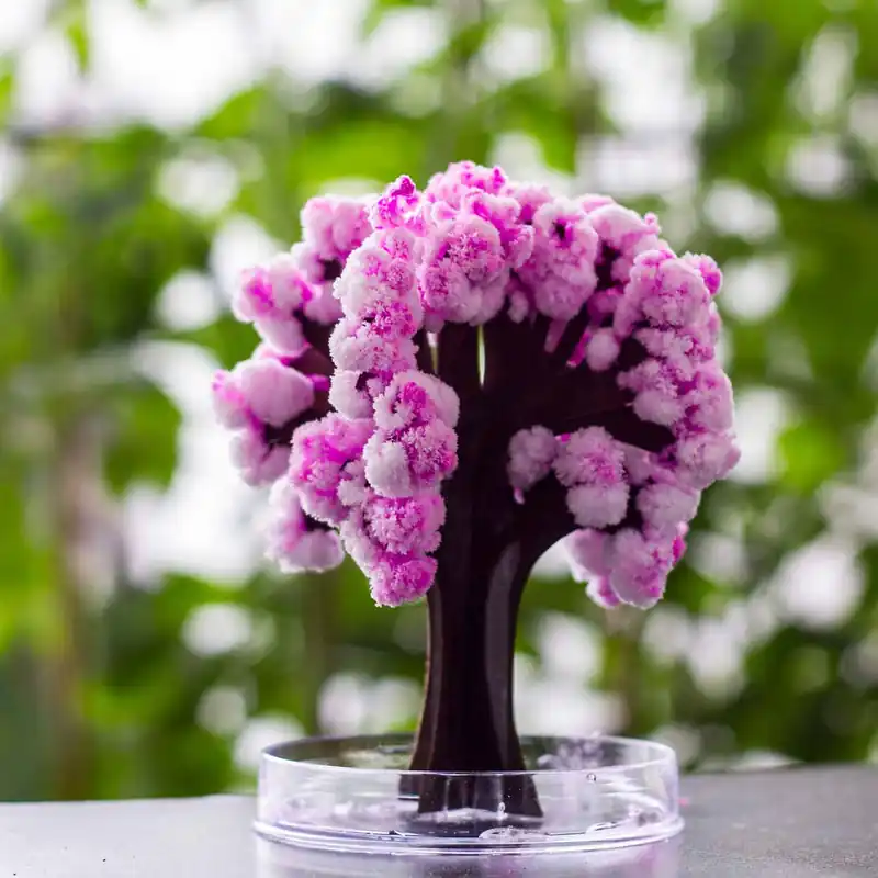 Premiumkvalitet - Mad Monkey - Magic Sakura - 13.5 cm - pink