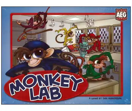 Fynd | Monkey Lab