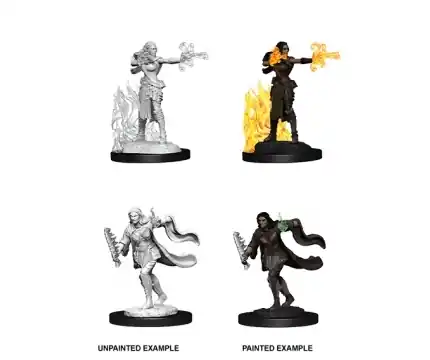 Missa inte erbjudandet - D&D Nolzur‘s Marvelous Miniatures Multiclass Warlock & Sorcerer - Female (Unpainted)
