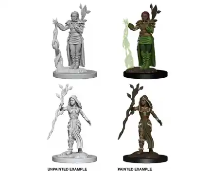 Rea - D&D Nolzur‘s Marvelous Miniatures Female Human Druid (Unpainted)
