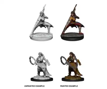 D&D Nolzur‘s Marvelous Miniatures Human Monk w. Weapons - Female (Unpainted) | Sista chansen