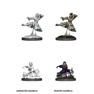 D&D Nolzur‘s Marvelous Miniatures Human Monk - Female (Unpainted) | Köp idag