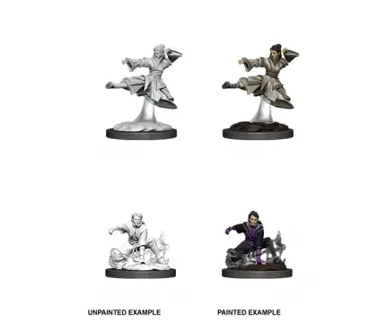 D&D Nolzur‘s Marvelous Miniatures Human Monk - Female (Unpainted) | Köp idag