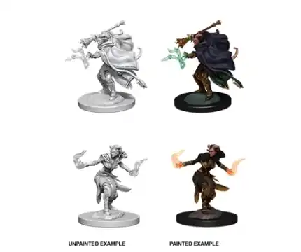 Kundernas favorit | D&D Nolzur‘s Marvelous Miniatures Tiefling Warlock - Female (Unpainted)