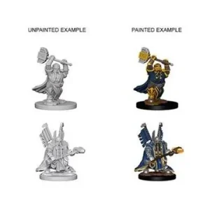 Specialpris - D&D Nolzur‘s Marvelous Miniatures Dwarf Male Paladin (Unpainted)